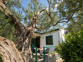 Holiday Home Bonaca